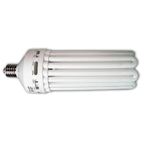 Hydrofarm FLC200D 200W Compact Fluorescent Bulb - Daylight by 