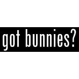 8 White Vinyl Die Cut Got Bunnies? Decal Sticker for Any Smooth Surface 