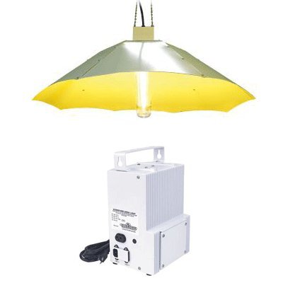 Watt Parabolic Garden Light System