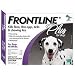 Merial Frontline Plus Flea and Tick Control for 45- to 88-Pound Dogs and Puppies, 3 Month