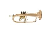 Vento 500 Series Model 5309 Bb Flugelhorn