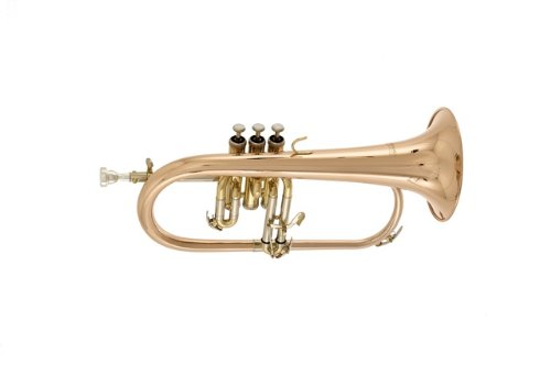 Vento 500 Series Model 5309 Bb Flugelhorn