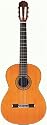 Takamine TH5 Hirade Concert Classic Acoustic-Electric Guitar with Case