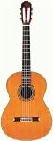 Takamine TH5 Hirade Concert Classic Acoustic-Electric Guitar with Case