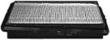 Hastings Filters AF976 Air Filter