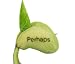 Magic Bean Wishes Fortune Telling Kit image 4