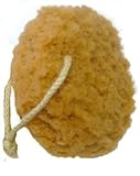 AquaBella Foam Sea Sponge (Twin Pack)