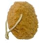 AquaBella Foam Sea Sponge (Twin Pack)