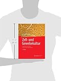 Image de Zell- und Gewebekultur: Allgemeine Grundlagen und spezielle Anwendungen