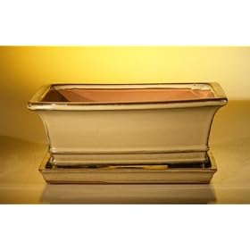 Bonsai Boy's Ceramic Bonsai Pot With Attached Humidity/Drip tray - Rectangle<br />10.75″ x 8.5″ x 4.125″” /></a>
<div class=