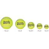 Squeaker Tennis Balls