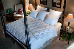 Avalon Hypodown Comforter/Duvet - Twin - Classic/700 Loft