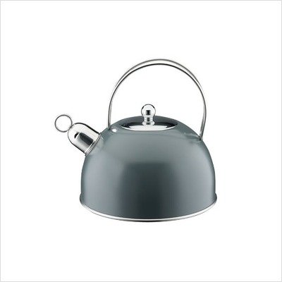 Classic Color Stainless Steel Kettle in Cool Grey