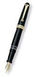 Aurora 88 Gold Plated Black Resin Large Fine Point Fountain Pen - AU-800F