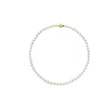 6-6.5mm 20″ White Akoya Necklace “AAA” 14K Yellow Gold Bead Clasp