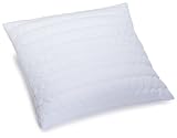 Billerbeck 5452605002 S 28 Kissen Sale Faser Aloe-Vera-Veredelung 80 x 80 cm, 1-teilig, weiss