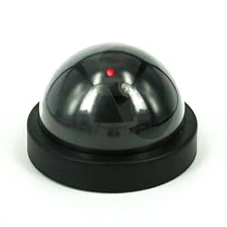 HDE (TM) Realistic Dome Security Camera w/ Motion Sensor