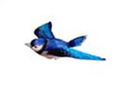 New Clark Collection Blue Jay Window Magnet Made From A Polyresin And Hand Painted 3 Dimensional