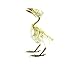 Real Taxidermy Bird Skeleton | Eurasian Tree Sparrow (Passer montanus) Specimen 3