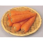 Verger 千葉産 農家の人参＜５キロ＞