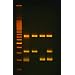Edvotek 216 Analysis of the Alcohol Gene, For 6 Groups