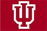 Indiana Hoosiers IU NCAA 20inx30in Tufted Rug