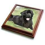 Dogs NewFoundLand - Newfoundland - Trivets