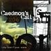 Caedmons Call-My Calm // Your Storm