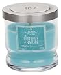 Colonial Candle Seagrass Scented 5.5 Oz Madison Jar Candle with Lid