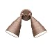31wLvFSzCbL. SL75  Trans Globe Lighting 50410 BRZ Outdoor 1 Light Black Bronze Outdoor Wall Mount