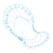 >Dry comfort day mod pad blue. Dry ComfortTM Bladder Control Pads