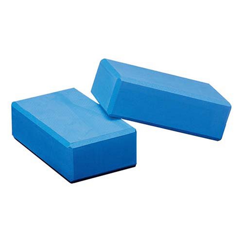 2 Blue Yoga Blocks