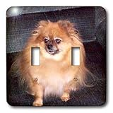 Dogs Pomeranian - Pomeranian Dog - Light Switch Covers - double toggle switch