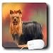 yorkshire_terrier46yorkshire terrier - Dogs Yorkshire Terrier Yorkshire Terrier Mouse Pads