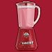 Sporting Goods : Hamilton Beach 54243H Ensemble 14 Speed Blender- Red