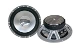 W 165 SAC - Rainbow 6.5 Midrange Speaker