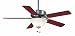Casablanca 84G45D Four Seasons III Gallery Ceiling Fan, Brushed Nickel