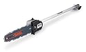 Tanaka TPS-210 Commercial Grade Pole Saw Attachment