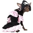 Pirate Treasure Hunt Pup Dog Costume
