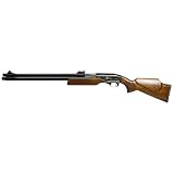 Sam Yang Recluse 9 mm Air Rifle