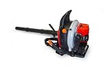 Review   / Warrior BP650B Garden Blower
