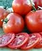 Manitoba Tomato 100 Seeds