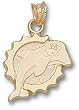 College Of Charleston Megaphone Charm/Pendant -14K/10K, Stainless Steel or Gold Plated