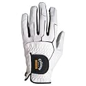 Best Gloves