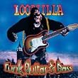 Loopzilla Funk Guitar Bass Audio Format