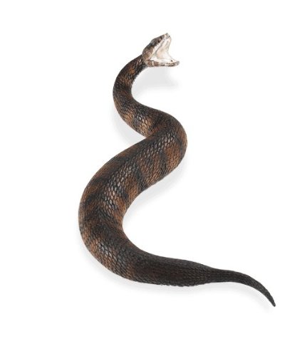 Incredible Creatures: Cottonmouth Water Moccasin