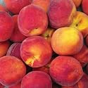 McRice Photo Papers 12'x12' Peaches; 25 Items/Order