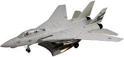 Ultra Large F-14 Tomcat