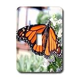 Butterflies - Monarch Butterfly - Light Switch Covers - single toggle switch