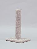 Carpet Cat Post 26